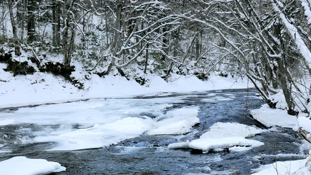 北海道森林小溪降雪视频素材