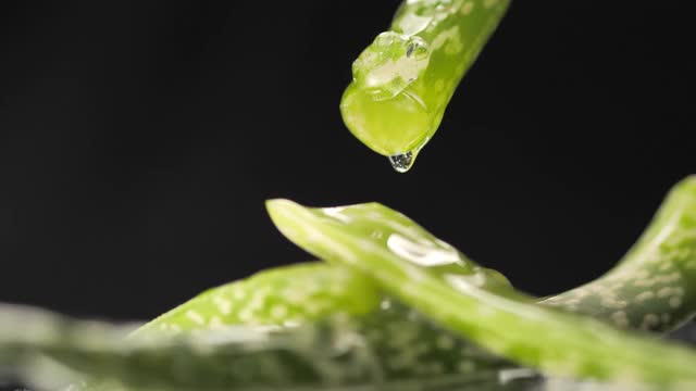 芦荟叶子在黑色背景上旋转。视频素材