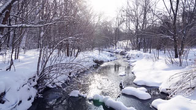 冬天的公园。溪水没有结冰，树上都覆盖着雪。视频素材