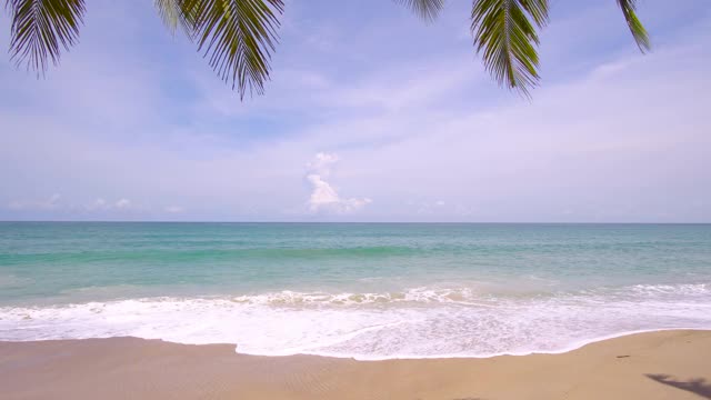 风景，海滩，大海。海滩沙叶棕榈树在海水和天空与云的背景。视频素材