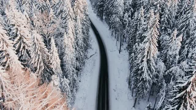 从空中俯瞰，一辆黑暗的汽车行驶在美丽的白雪皑皑的针叶林中间蜿蜒的冬季道路上视频素材