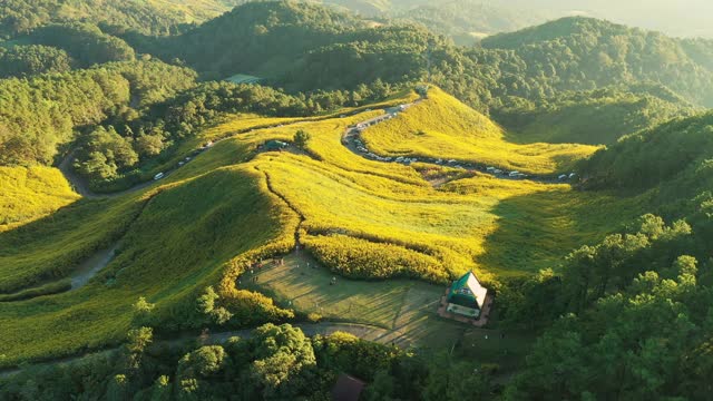 空中全景日光与花田通Buatong超过泰国北部的山视频素材