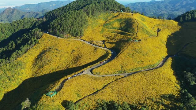 空中全景日落与泰国北部的花田通Buatong视频素材