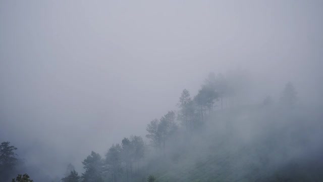 风景山景的雾穿过植被，Munnar，印度视频素材