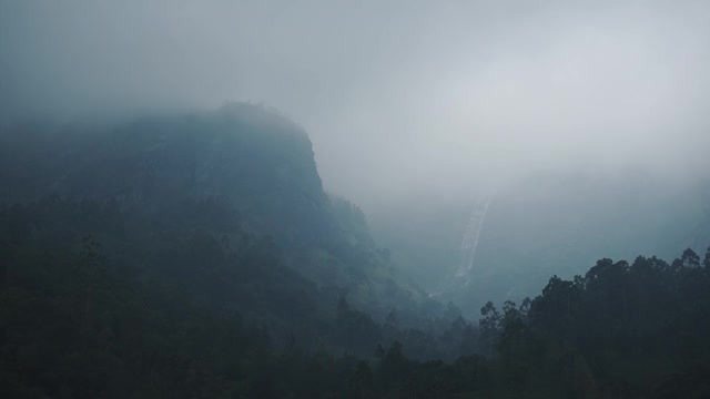 美丽的，雾蒙蒙的森林蒙纳，印度全境拍摄视频素材