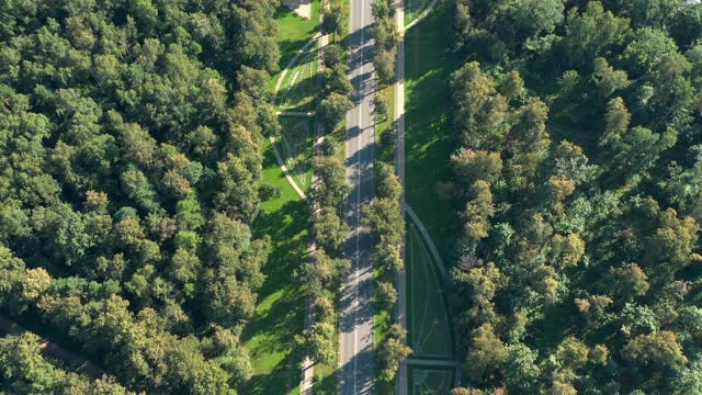 公园狭窄道路鸟瞰图视频素材