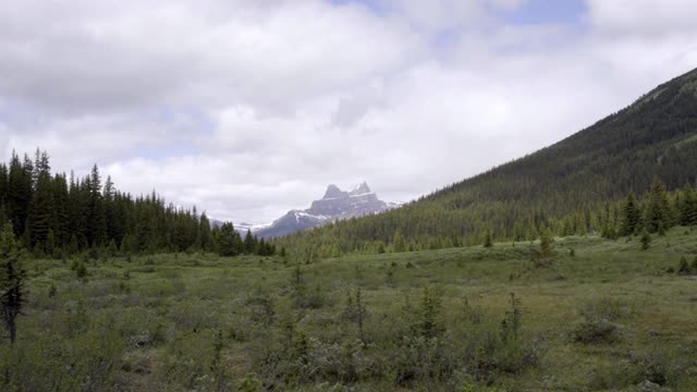 平移拍摄的自然绿色景观与山脉对天空-班夫，加拿大视频素材