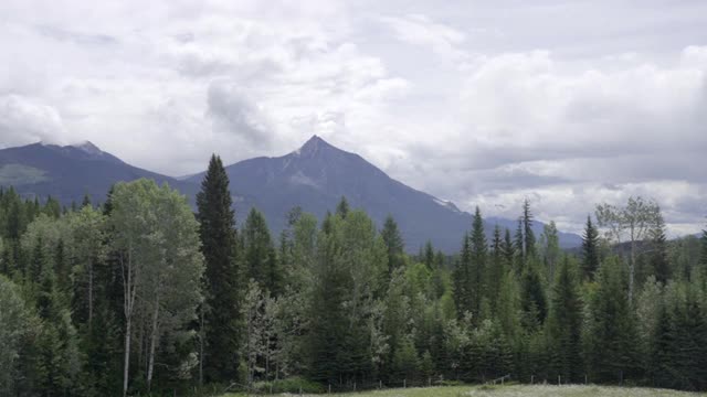 加拿大班夫，多云的天空下，山上绿树的延时拍摄视频素材