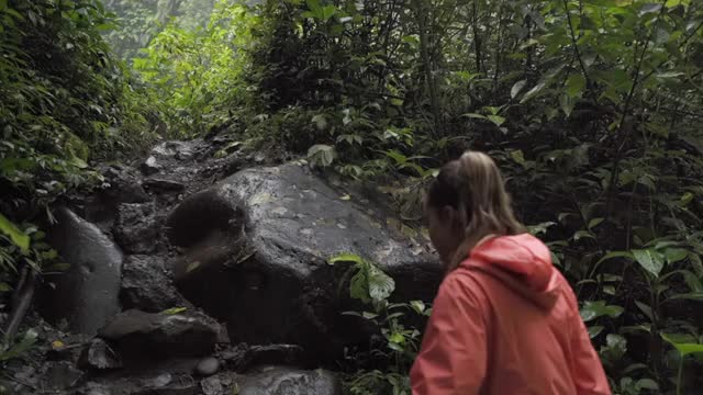 慢动作与倾斜的一个女人徒步旅行者小心地使她的方式在一个郁郁葱葱的热带丛林的阴影岩石徒步小径-巴厘岛，印度尼西亚视频素材