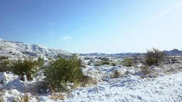 无人机向前飞行在白雪覆盖的自然景观与植物对蓝色的天空-约书亚树，加利福尼亚视频素材