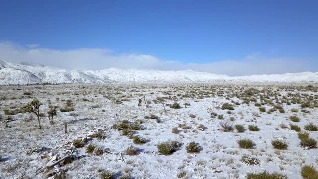 在阳光明媚的日子里，无人机向后飞行在带雪和山脉的景观上的植物和蓝色的天空-约书亚树，加利福尼亚视频素材