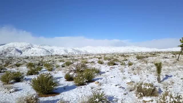 在阳光明媚的日子里，无人机向前移动，在覆盖着雪景的植物上，群山映衬着蓝色的天空——约书亚树，加利福尼亚视频素材