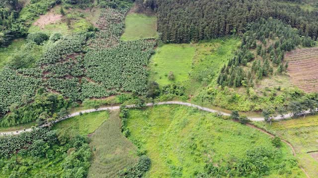 美丽的乡村风景，农场，道路和绿色的森林。视频素材