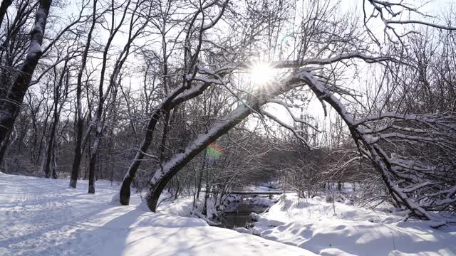 冬天的公园。溪水没有结冰，树上都覆盖着雪。视频素材