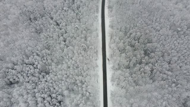 黑色柏油路之间的雪林从鸟瞰。视频素材