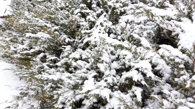 冬天的公园里铺满了雪。视频素材