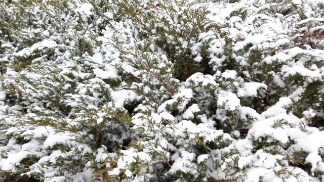 冬天的公园里铺满了雪。视频素材