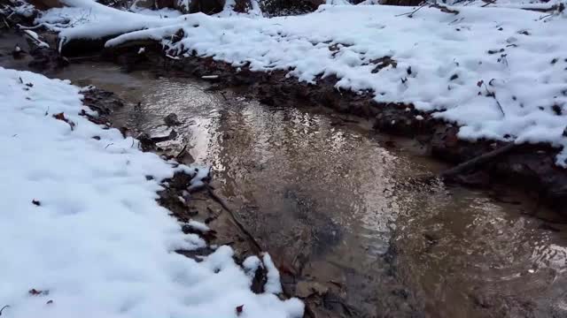 森林在雪中流淌。冬季森林。视频素材