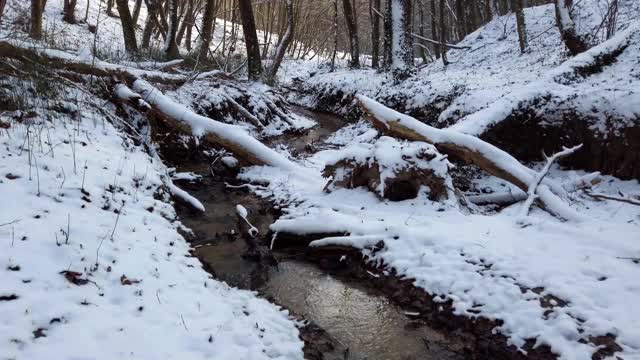 冬季森林。雪和树。森林在雪中流淌。视频素材