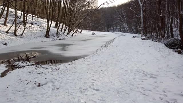 冬季森林。雪和树。冰冻的森林湖。雪冰。视频素材