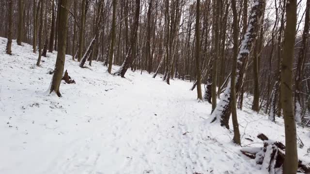 冬季森林。雪和树。视频素材