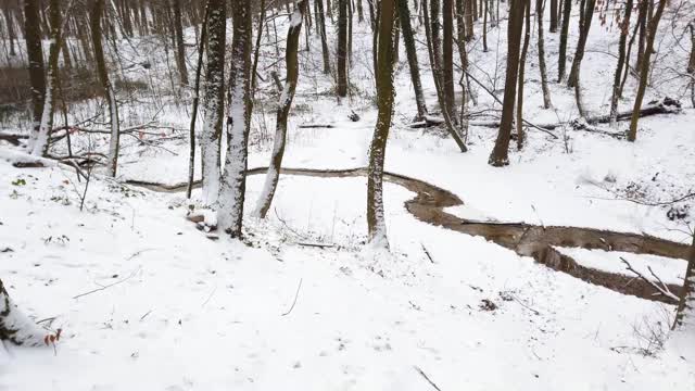 冬季森林。雪和树。森林在雪中流淌。视频素材