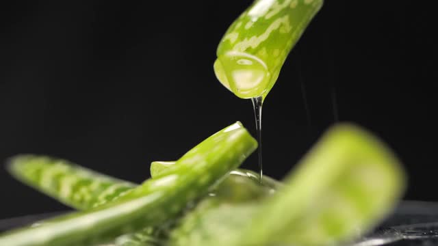 芦荟叶子在黑色背景上旋转。视频素材