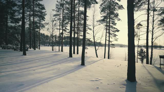 在一个美丽的霜冻的早晨，穿过覆盖着积雪的森林。没有人。视频素材