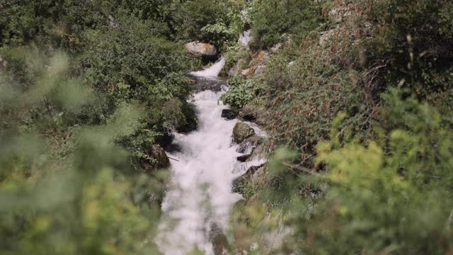 一条小溪在阿尔泰的一个峡谷中流淌视频素材