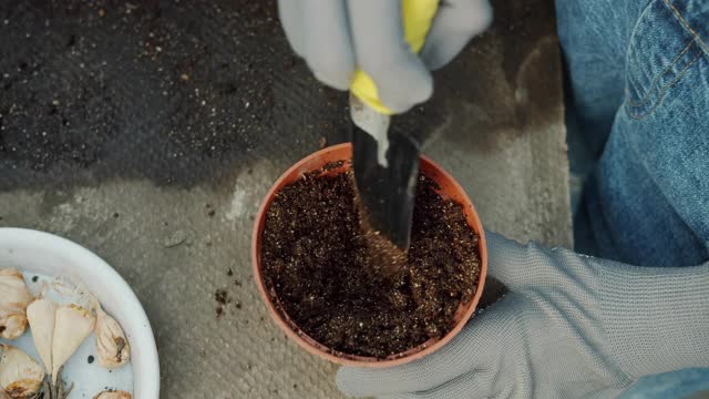 俯视图妇女的手在手套种植花，播种种子在土壤一起工作视频素材