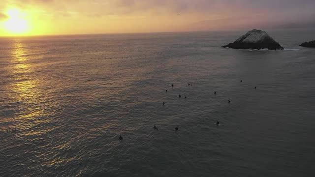 空中摇摄冲浪者在海上的波浪对橙色的天空，无人机飞过剪影的人和鸟在日落-旧金山，加利福尼亚视频素材