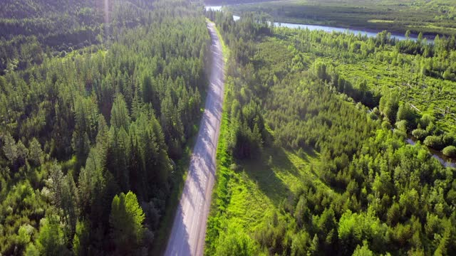 空中倾斜拍摄在绿树林中的道路上的汽车，无人机在阳光明媚的一天飞向山脉-大北方平原，MT视频素材