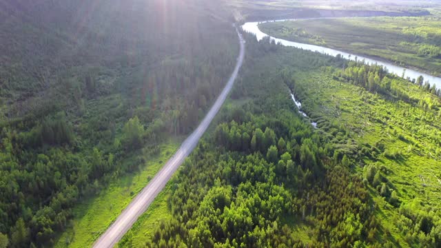 空中倾斜拍摄的道路中绿树在森林，无人机向后飞行的景观在阳光明媚的一天-大北方平原，MT视频素材