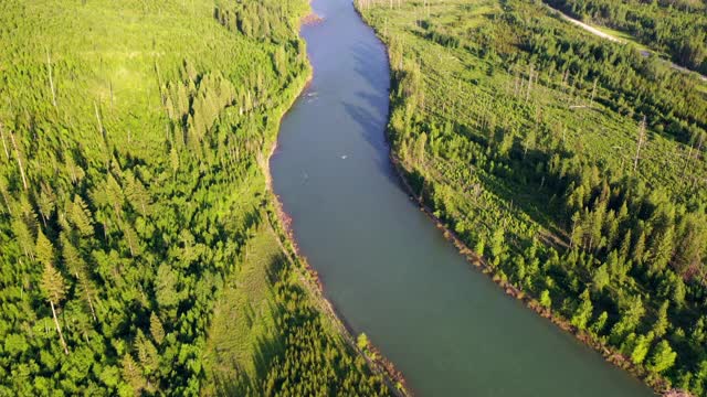 空中倾斜向上拍摄的河流流过绿色的森林，无人机飞向山脉在阳光明媚的一天-大北方平原，MT视频素材