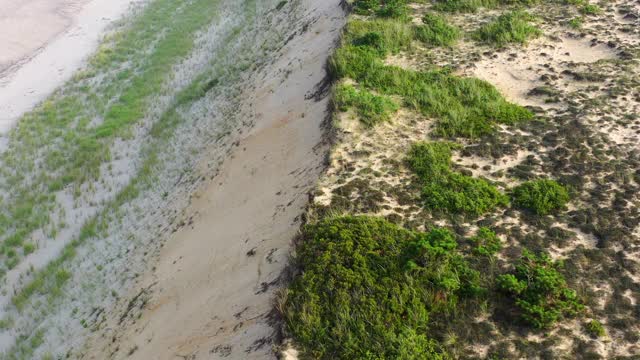 在阳光明媚的日子里，无人机向后飞过海岸线——科德角，马萨诸塞州视频素材