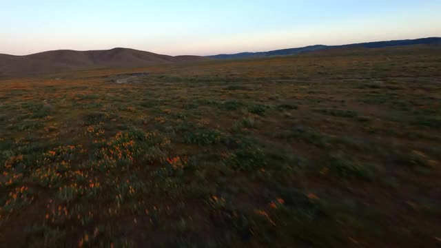 空中低空快速移动，沿着一条土路，穿过一个宽阔的干燥山谷平原，在黄昏的时候，有灌木丛，野花，和起伏的山丘——羚羊谷，加利福尼亚视频素材