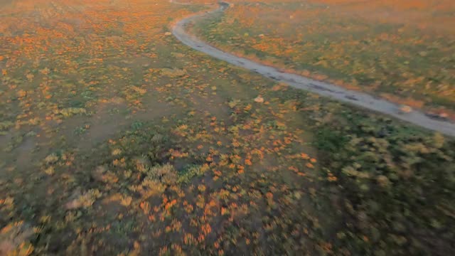 空中低空快速移动，沿着一条土路，穿过一个宽阔的干燥山谷平原，在黄昏的时候，有灌木丛，野花，和起伏的山丘——羚羊谷，加利福尼亚视频素材