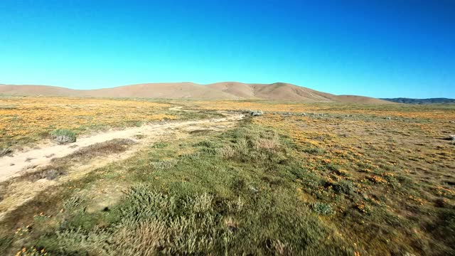 空中低空快速移动，沿着一条土路，穿过一个宽阔的干燥的山谷平原，在明亮的阳光下，有灌木丛，野花，背景中起伏的山丘——羚羊谷，加利福尼亚视频素材