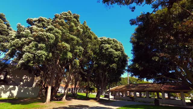 在清澈的蓝天下，天空中有人行道、草地和公园建筑，飞机在树木中向前移动，探索一个绿色的城市公园——加州洛杉矶视频素材