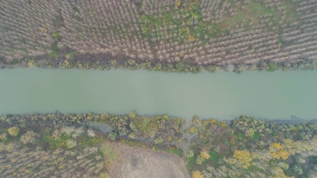 穿过森林的河流视频素材