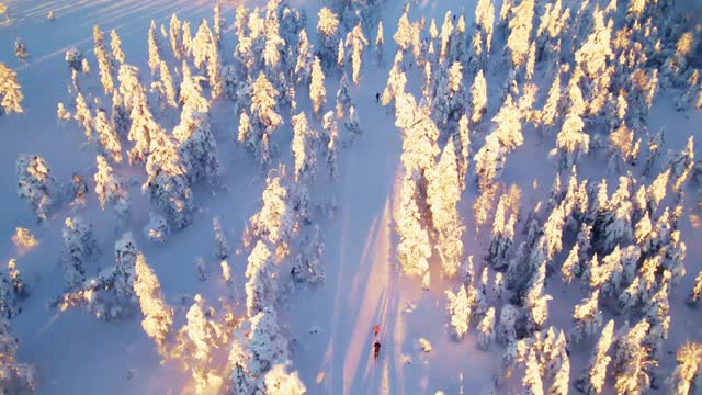 人们在野外进行越野滑雪，在一个下雪的冬季仙境。视频素材