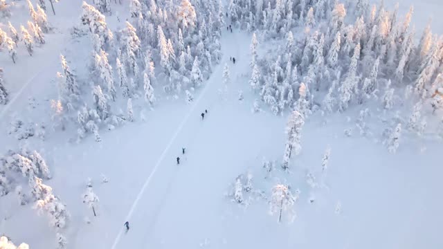 人们在野外进行越野滑雪，在一个下雪的冬季仙境。视频素材