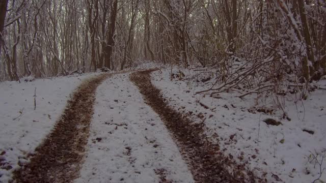 雪地里雾蒙蒙的冬天森林里的小路。自然视频素材