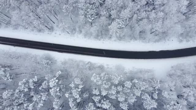 黑色柏油路之间的雪林从鸟瞰。视频素材