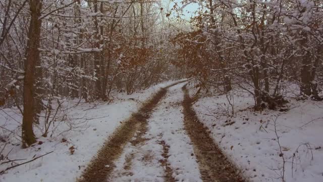 雪地里雾蒙蒙的冬天森林里的小路。自然视频素材