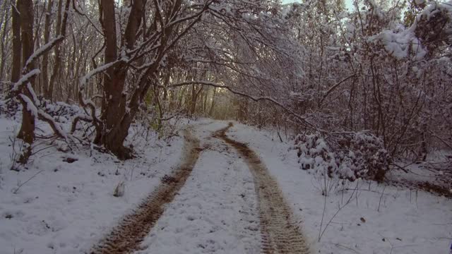 雪地里雾蒙蒙的冬天森林里的小路。自然视频素材