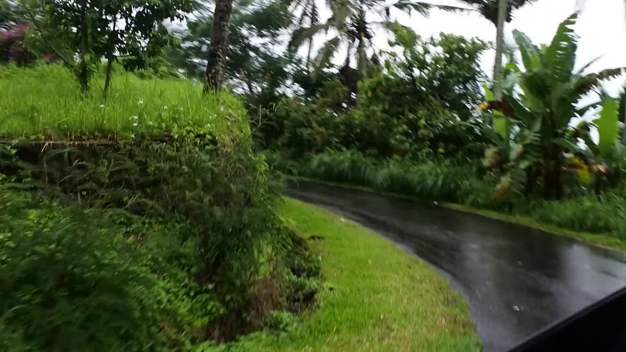 从巴厘岛的乡村车里看到的景色视频素材