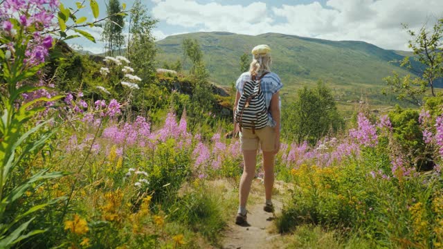 一个活跃的女人在群山和天空的背景下走过美丽的山谷花丛。挪威之春，斯堪的纳维亚之旅视频素材