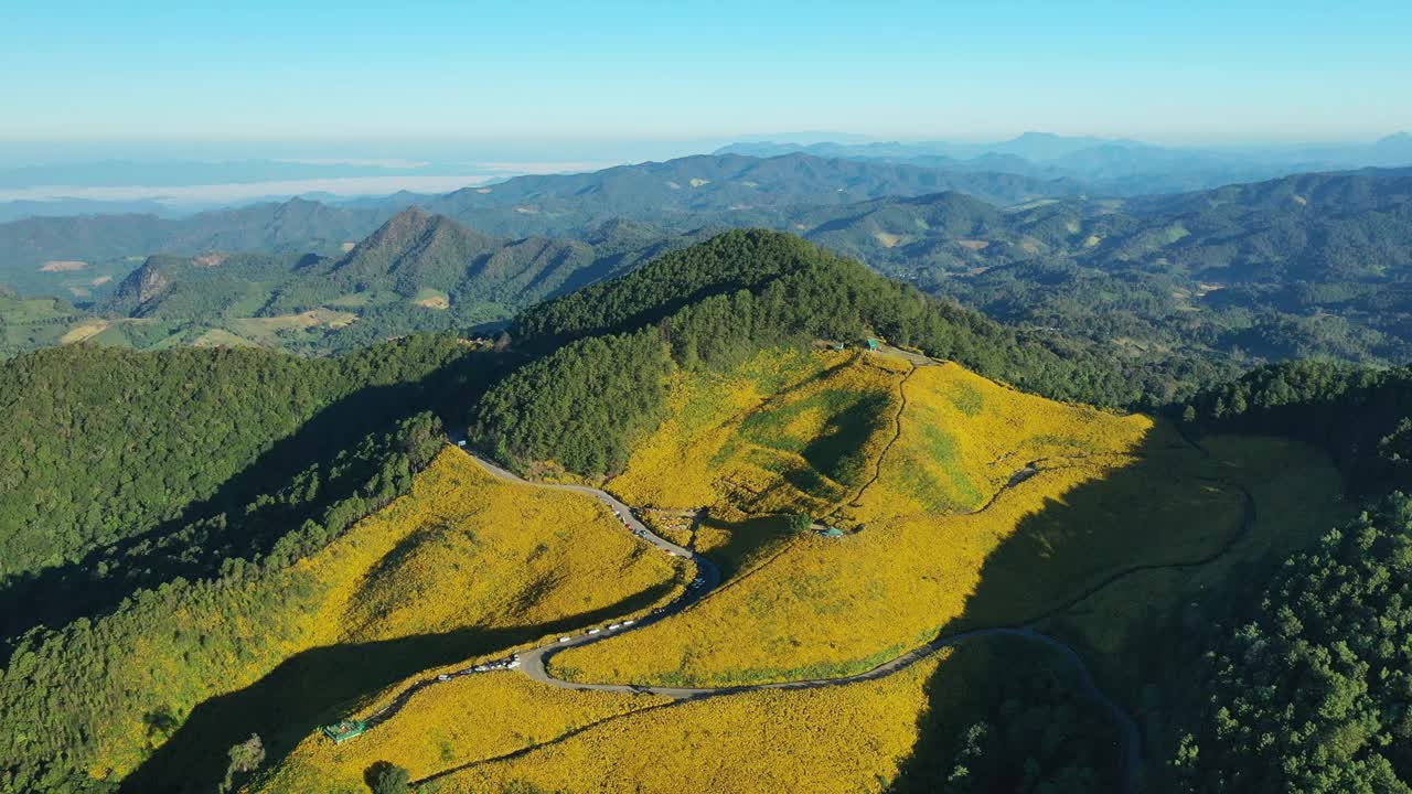 俯视图百叶黄视频素材