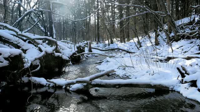 北海道森林小溪降雪视频素材